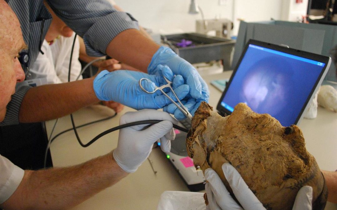 FBI resolve mistério de múmia egípcia com mais de quatro mil anos